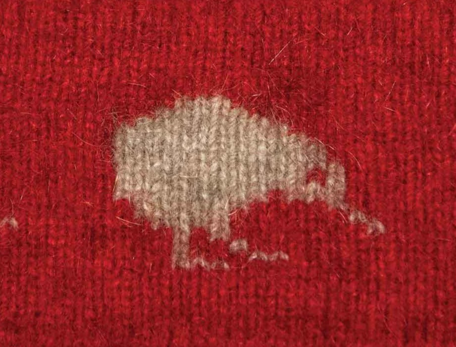 Kiwi Motif Possum Merino Gloves