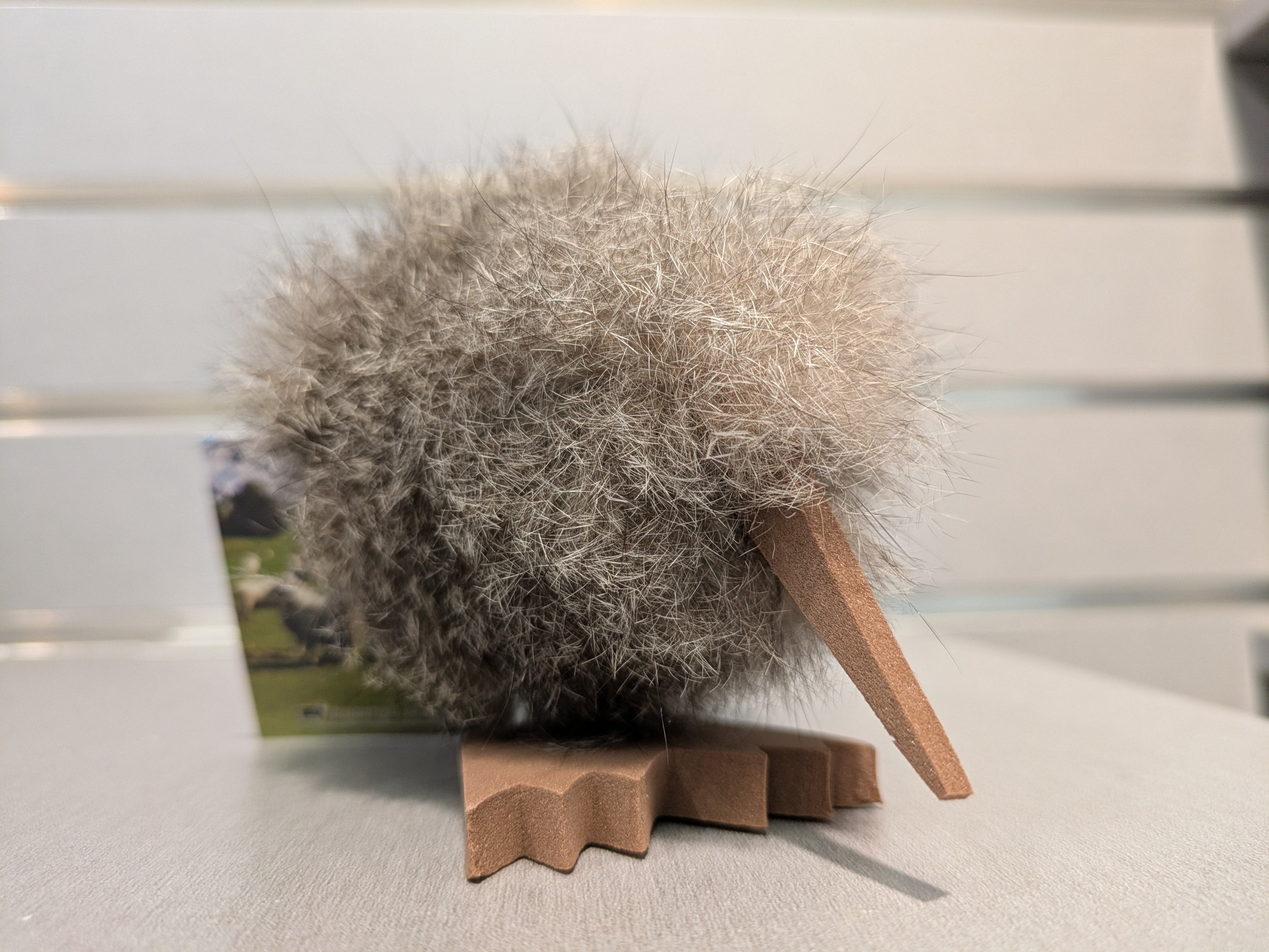 Genuine Possum Fur Kiwi Main image